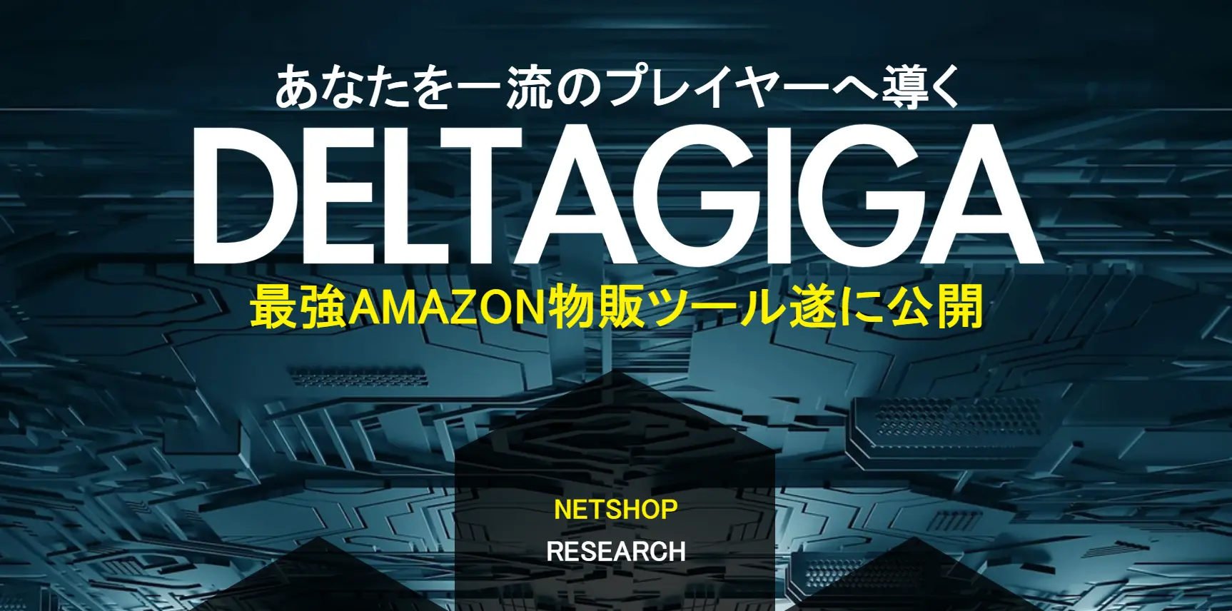 NETSHOP全頭検索ツールDELTA GIGA　合同会社ナナイチナナ田中　恵子実態はどうなの？